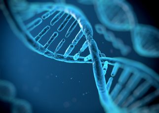 ADN vs ARN : plongée au cœur des acides nucléiques pour comprendre leur rôle et leur fonctionnement