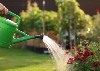 13 astuces incontournables pour un arrosage efficace de votre jardin en été