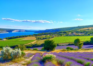 paysage Provence-Alpes-Côte d'Azur